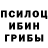 Галлюциногенные грибы GOLDEN TEACHER Aleyanko game