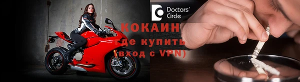 хмурый Шали